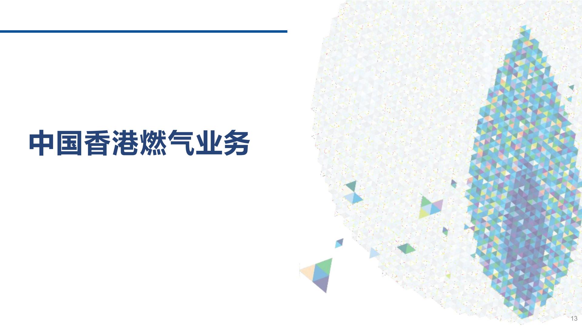 香港中华煤气PDF-逐页转图片-00012.jpg
