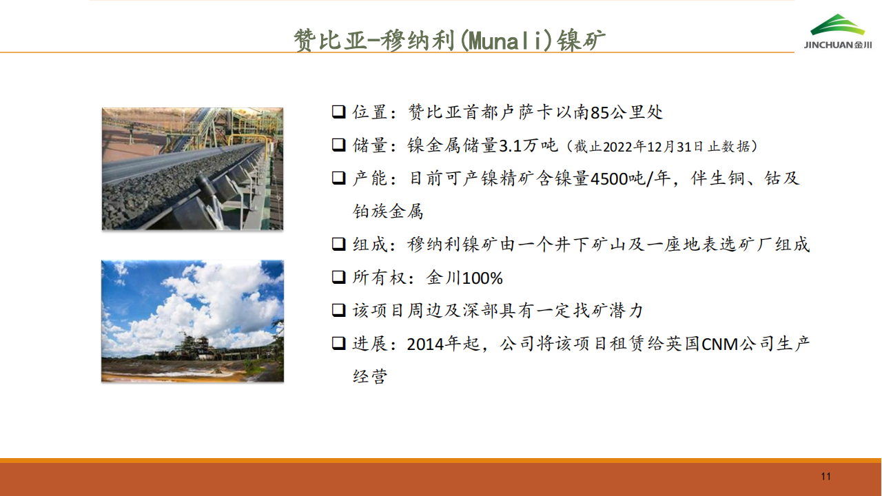 金川国际（02362.HK）PDF_10.png