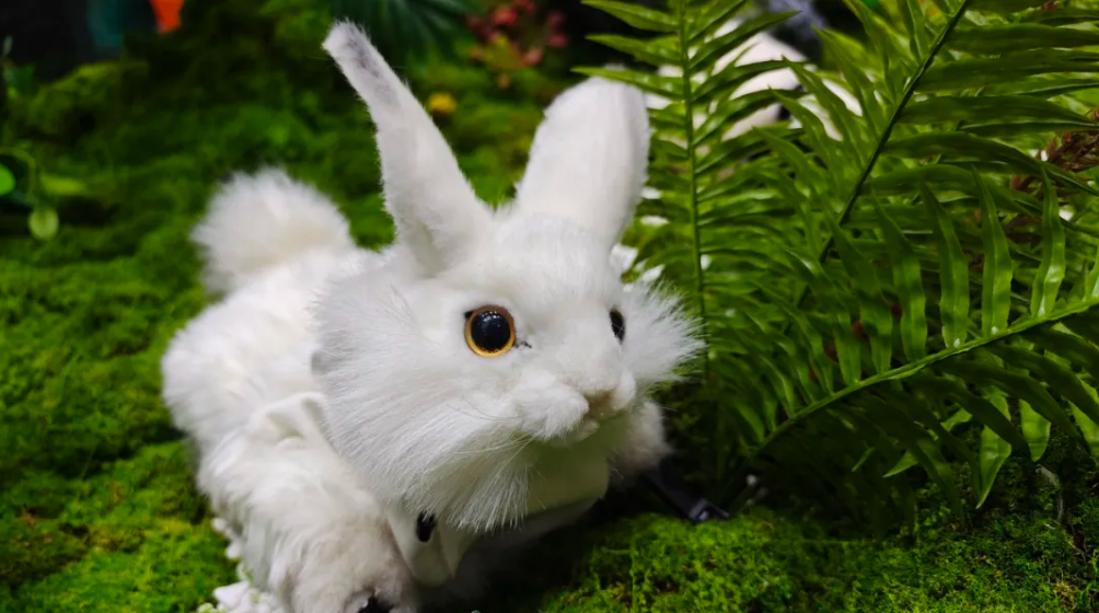 /information/images/2025/09/15/57b5a716f92e1b68e99414ac6e04182d.png wechat_2025-09-15_100721_596.png