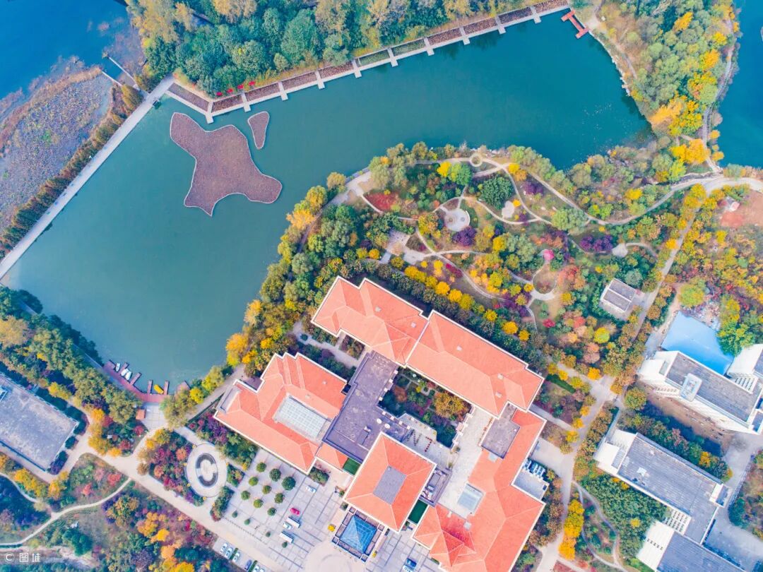 DJI_0159.jpg