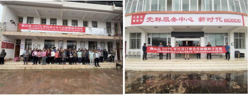 图片7.png