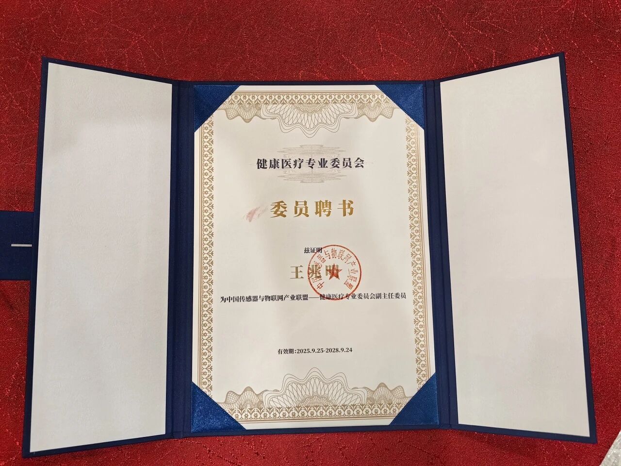 好络维5.jpg