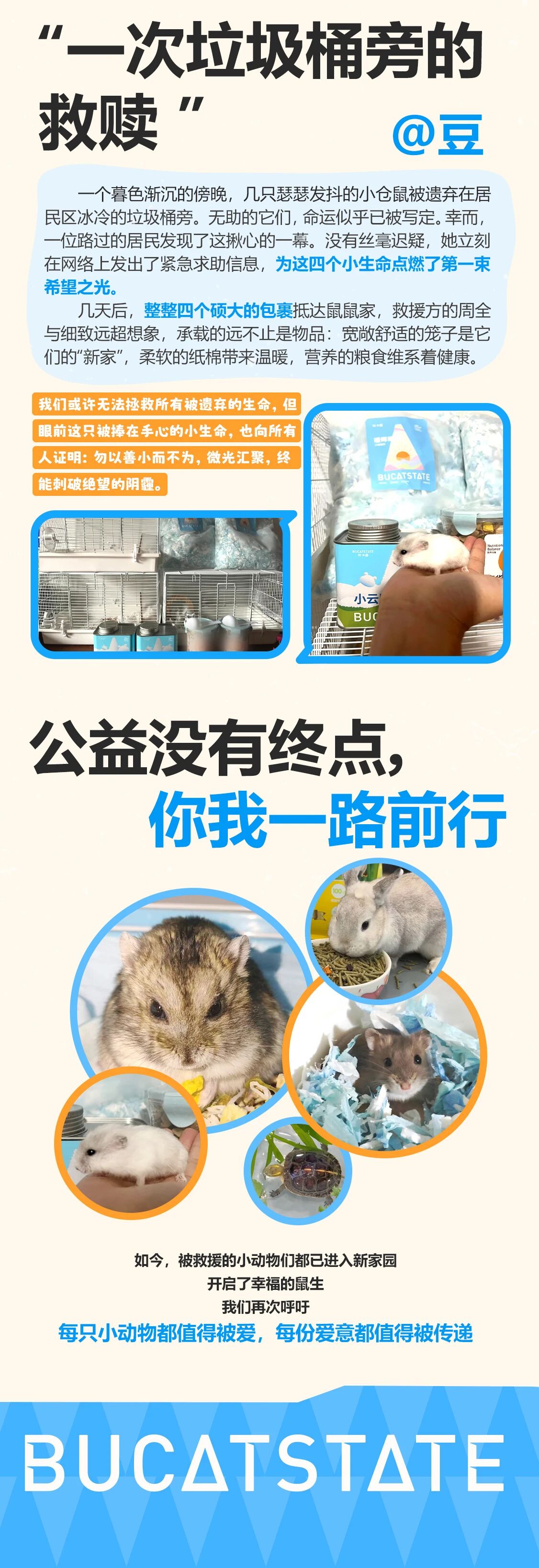 布卡星4.jpg