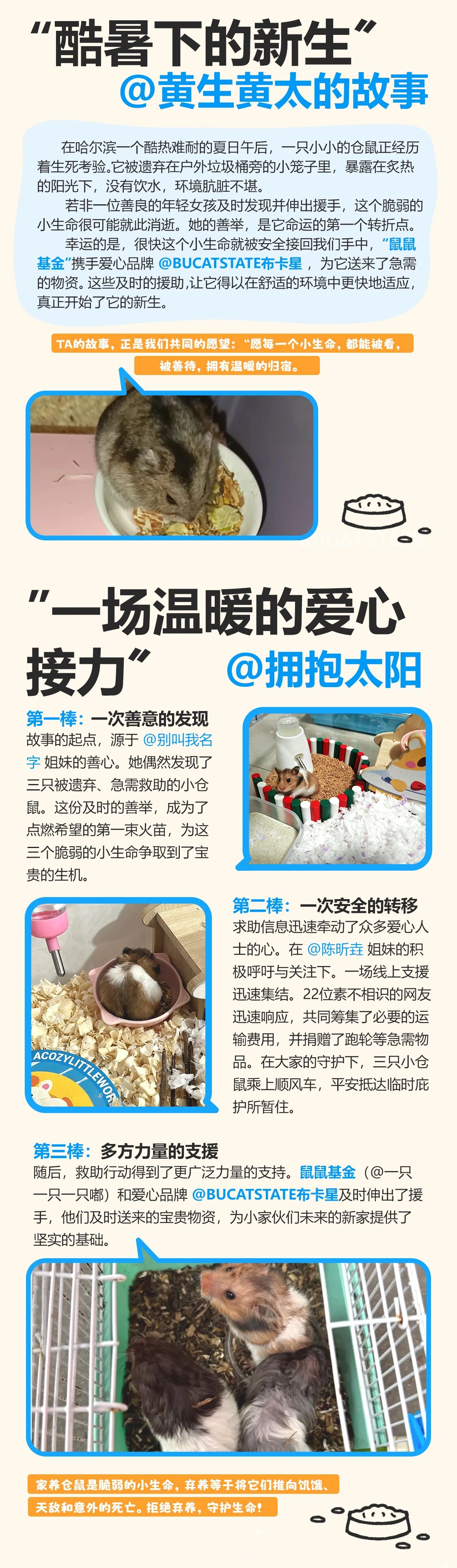布卡星3.jpg