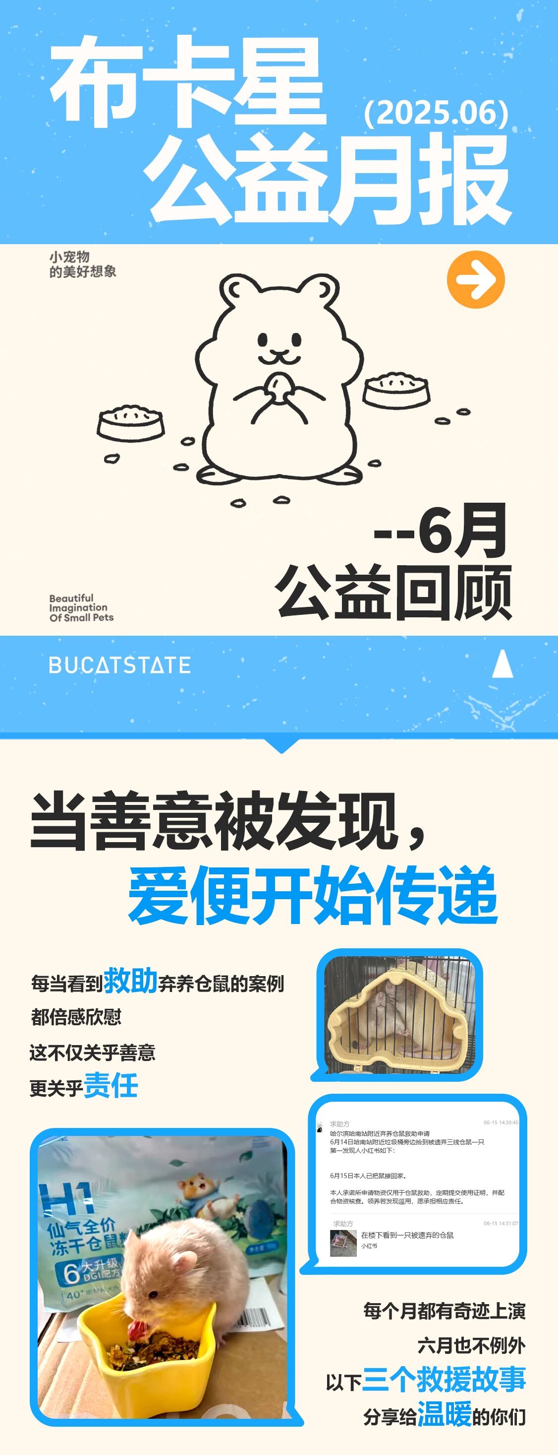 布卡星2.jpg