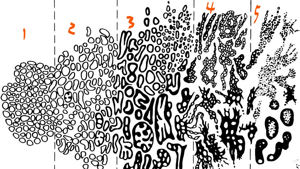 9551eddec120e1c76c272d1e446813c2.png