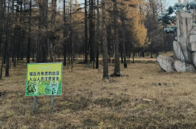 /information/images/2025/10/31/1a5b641053244025ecced2ed997c2cba.png 中国铁塔3.png