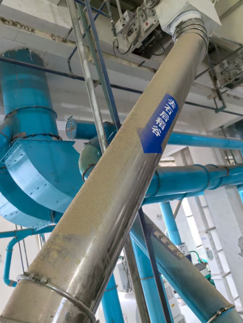 /information/images/2025/10/31/cfb81b80b65a0e9dd35b7b599deaaa7c.png image.png