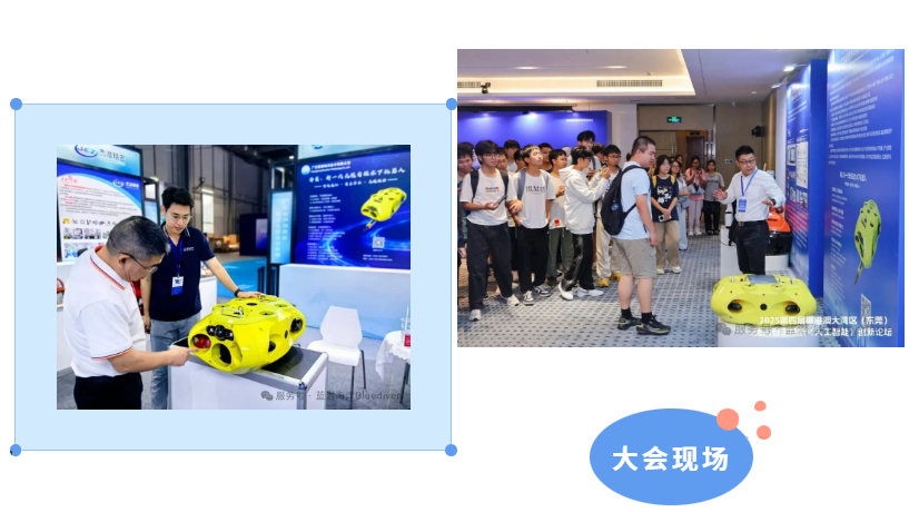 /information/images/2025/11/10/d24ef34466cf8db9ce3776ef18326d88.png image.png