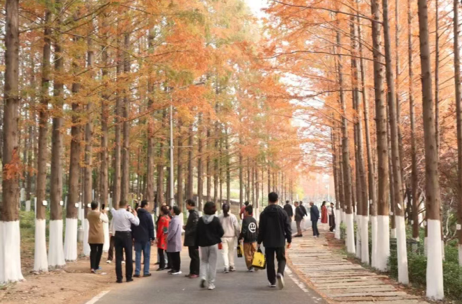 屏幕截图 2025-11-17 131618.png