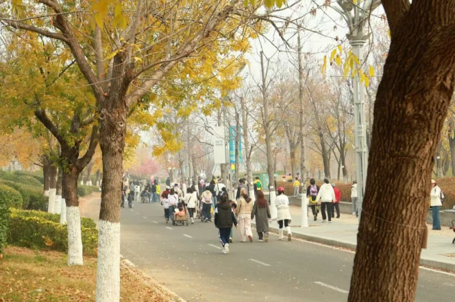 屏幕截图 2025-11-17 131606.png